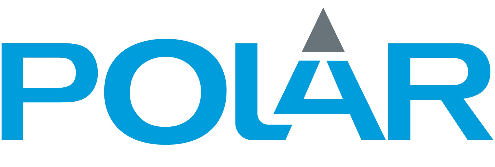 Polar logo